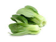 Baby Bok Choi (China)